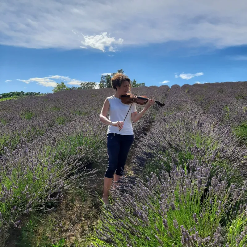 Violoniste jouant dans un champ de lavande